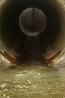 Sewer pipe