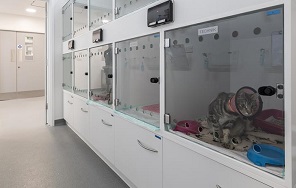 CT_Cromwell-Vets_Altro CT_Cromwell-Vets_Altro