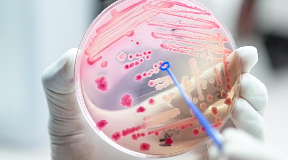 Genesis Biosciences joins consortium to tackle antimicrobial resistance