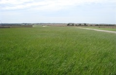 Sodexo wins battle against the birds