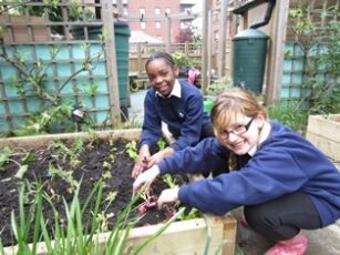 Sodexo and Rocket Gardens win at BALI awards