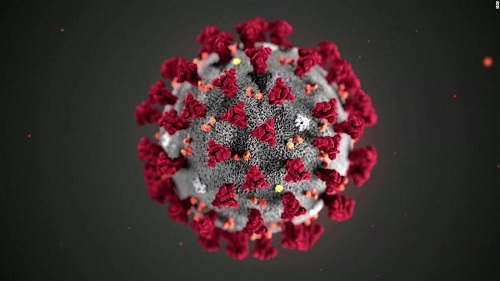 Coronavirus (COVID-19)