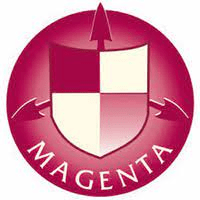 Magenta Security