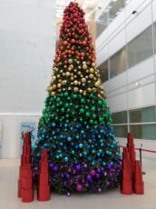 phs Greenleaf sweeps the board with five horticulture awards