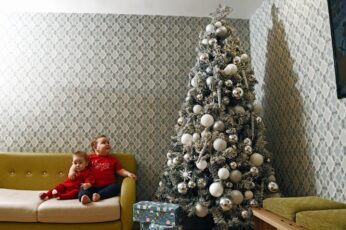 Families in Ronald McDonald House Cardiff get Christmas tree donation