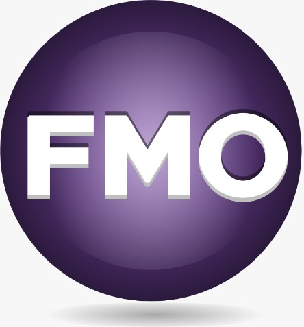 COUNTING KING & FMO PARTNERSHIP
